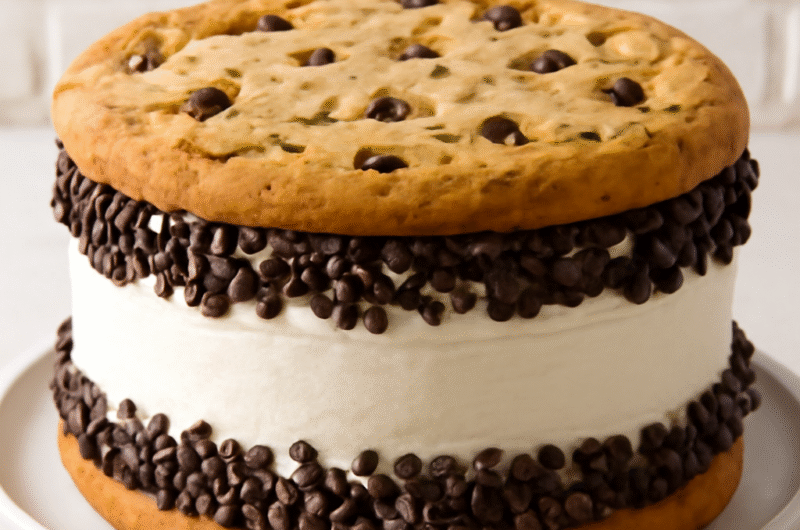 Giant Chipwich Ice Cream Cake